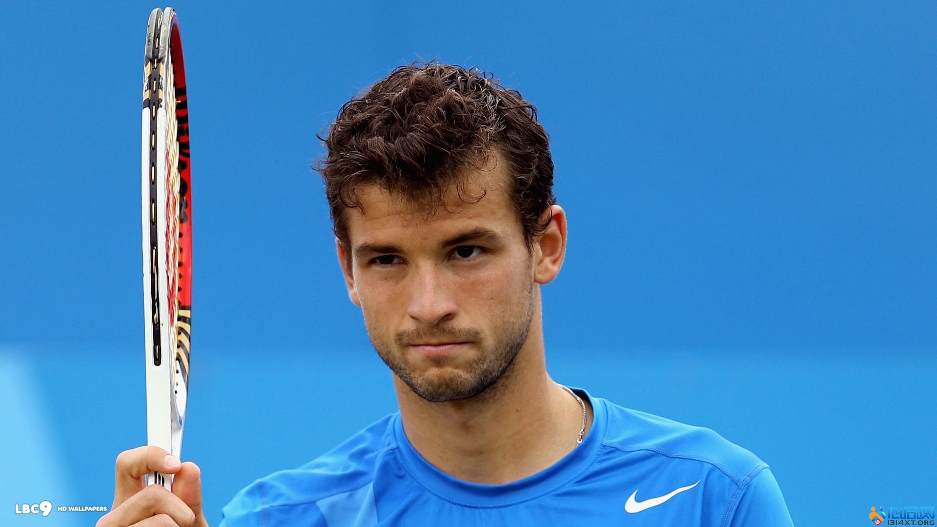 17的后卫 17的后卫