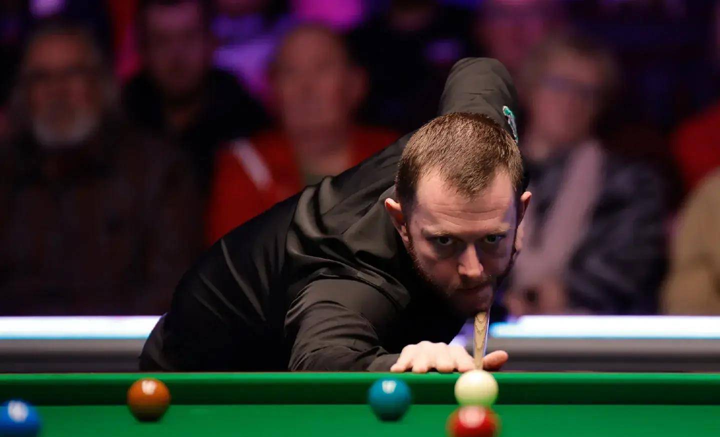 目前尚无报 目前尚无报